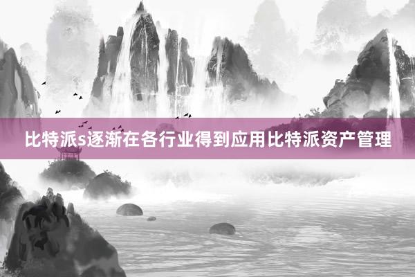 比特派s逐渐在各行业得到应用比特派资产管理