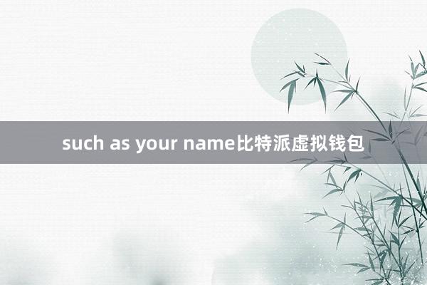 such as your name比特派虚拟钱包