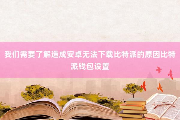 我们需要了解造成安卓无法下载比特派的原因比特派钱包设置