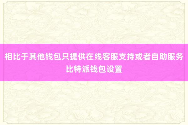 相比于其他钱包只提供在线客服支持或者自助服务比特派钱包设置