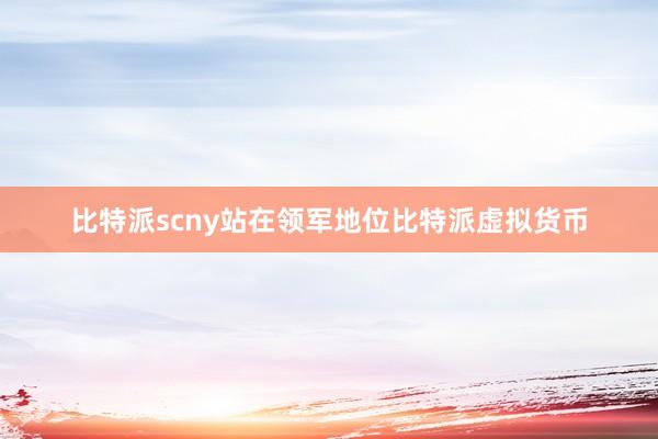 比特派scny站在领军地位比特派虚拟货币