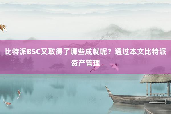 比特派BSC又取得了哪些成就呢？通过本文比特派资产管理