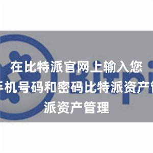 在比特派官网上输入您的手机号码和密码比特派资产管理